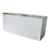 Blizzard Stainless Steel Lid Chest Freezer 650L - CF650SS Chest Freezers Blizzard   