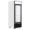Interlevin Glass Door Display Freezer - LGF2500