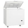 Tefcold Low Temperature Chest Freezer - SE20-45 Chest Freezers Tefcold   