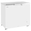 Tefcold Solid Lid Chest Freezer - GM300SS Chest Freezers Tefcold   